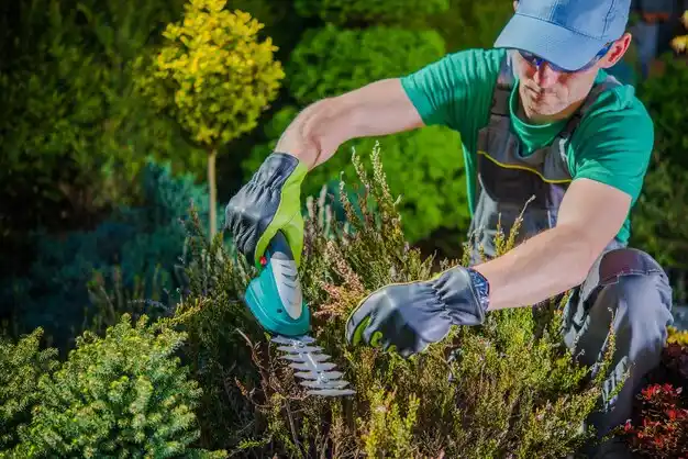 landscaping services Bronson